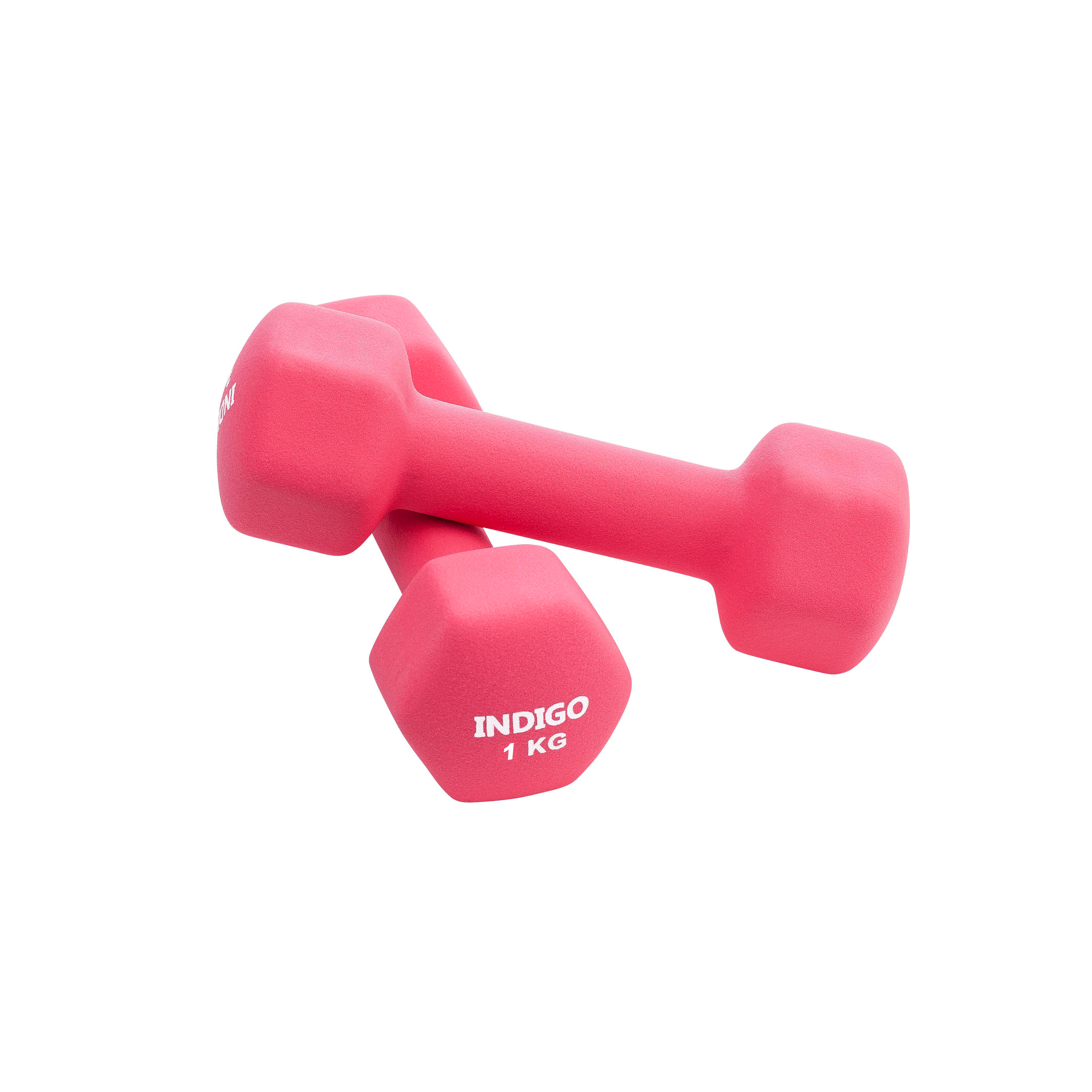 INDIGO Neoprene Hexagonal Dumbbells